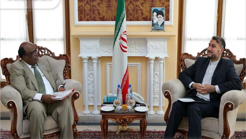 Iranpress: US sanctions, terrorist tool against nations: Amirabdollahian