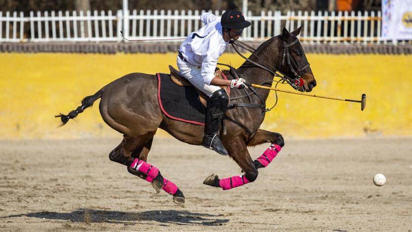 Iranpress: Iranian Army team wins national polo competitions