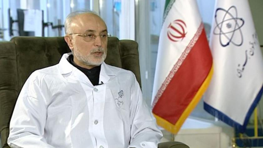 Iranpress: If Iran