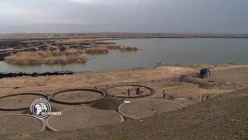 Iranpress: Varamin’s Ashgabat; a hospitable wetland for migrant birds, bird lovers