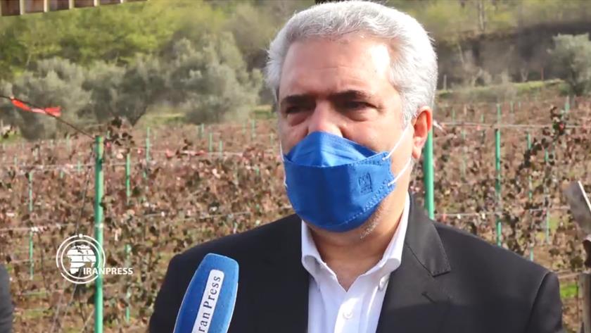 Iranpress: Iran