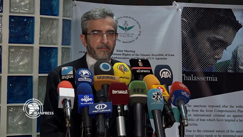 Iranpress: Iran defends human rights regardless of color, nationality: Judiciary official