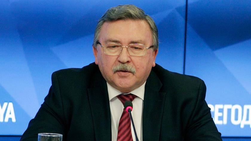 Iranpress: US maximum pressure a total failure: Russian diplomat
