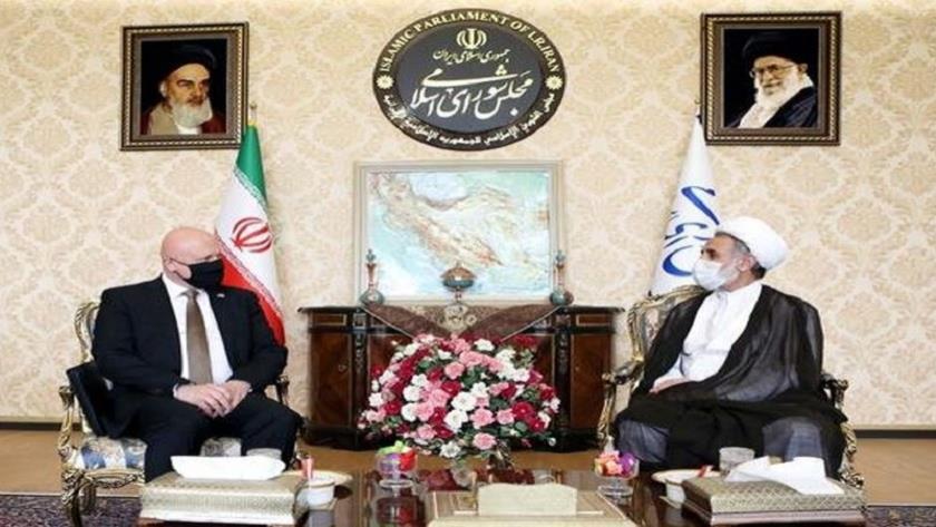 Iranpress: MP: EU should not follow bullying policy of US