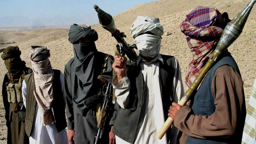 Iranpress: Taliban