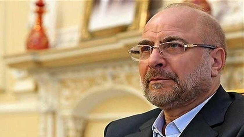Iranpress: No different voice concerning JCPOA in Iran: Speaker