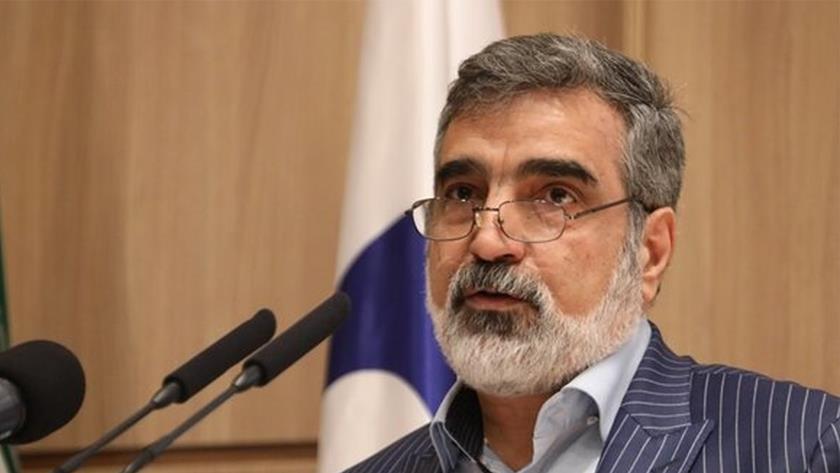 Iranpress: Returning to JCPOA with delay, US will lose: IAEO Spox.