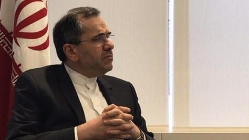 Iranpress: Cruel sanctions on Iran will not get US anywhere: Envoy