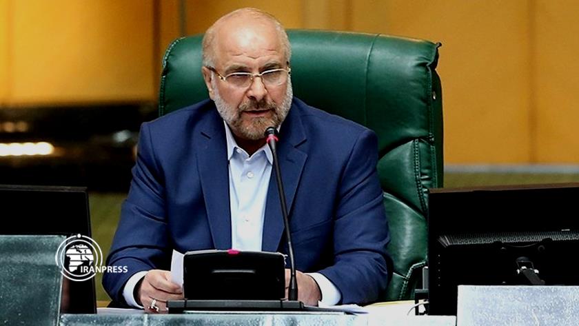 Iranpress: Iran-China strategic partnership, component of empowerment: Speaker