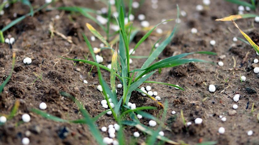 Iranpress: Iran to import 200 million tons of phosphorus soil from Syria