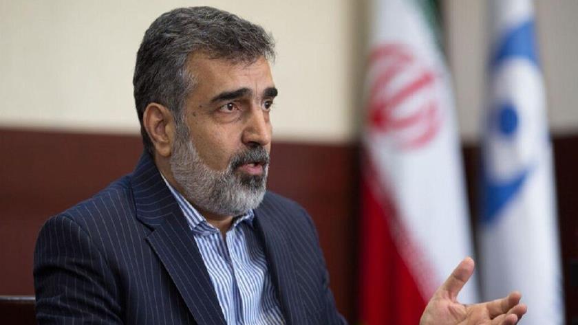 Iranpress: AEOI Spox: Lifting sanctions; Iran