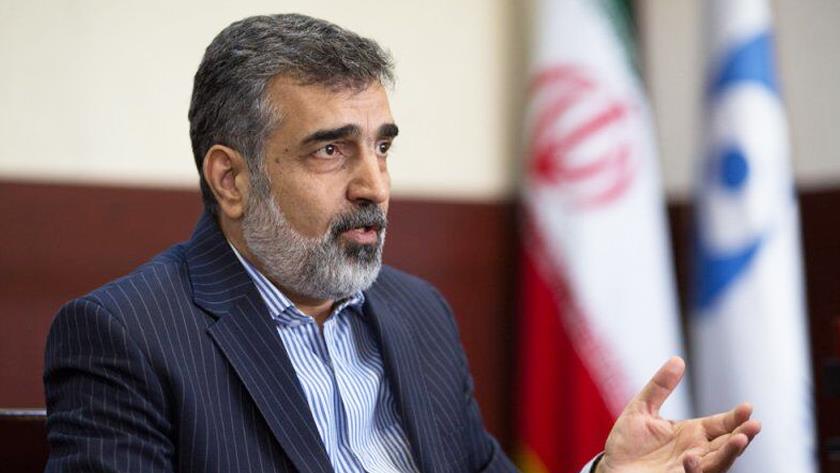 Iranpress: AEOI Spox: Power outage, main cause of Natanz incident