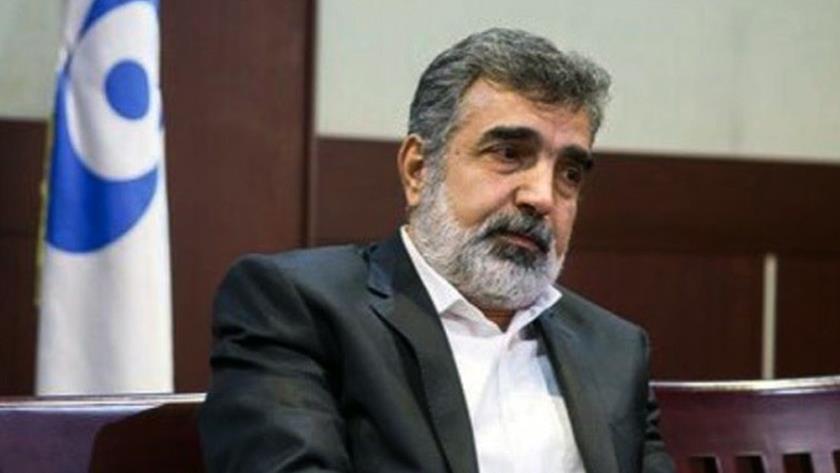 Iranpress: Enemies