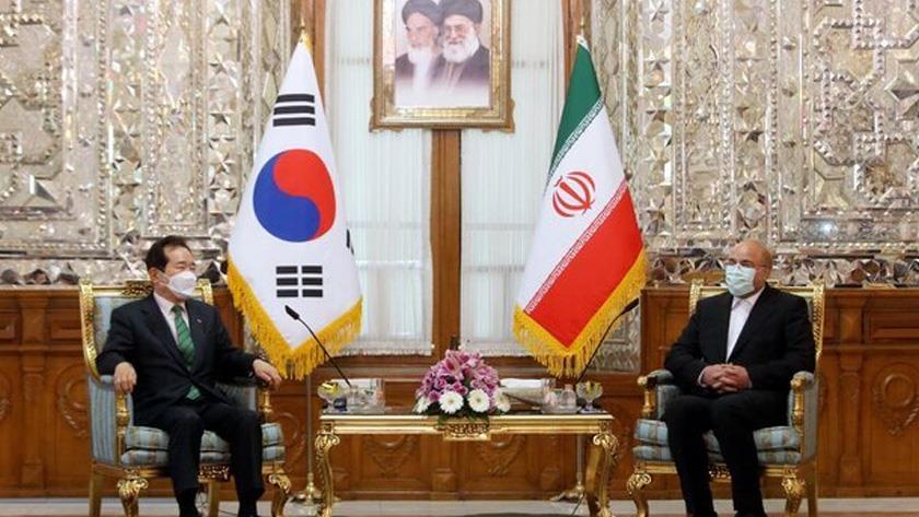 Iranpress: Tehran-Seoul relations should return before 2018