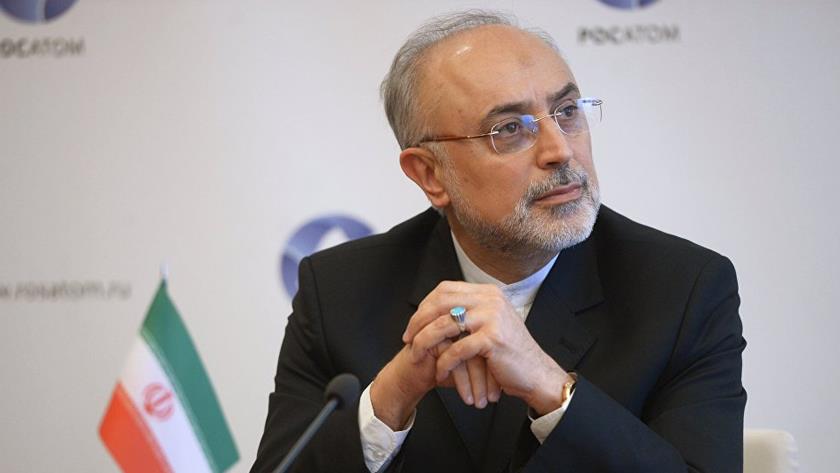 Iranpress: Uranium enrichment continues in Natanz: AEOI head
