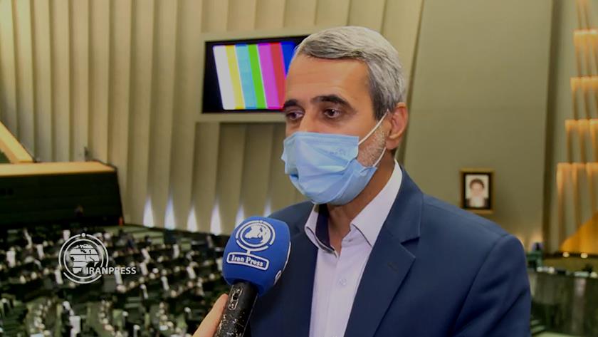 Iranpress: Iran-Saudi Arabia should not be divided: MP