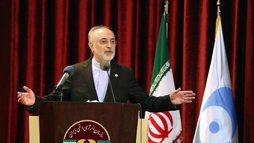 Iranpress: AEOI head submits his report to National Security Commission