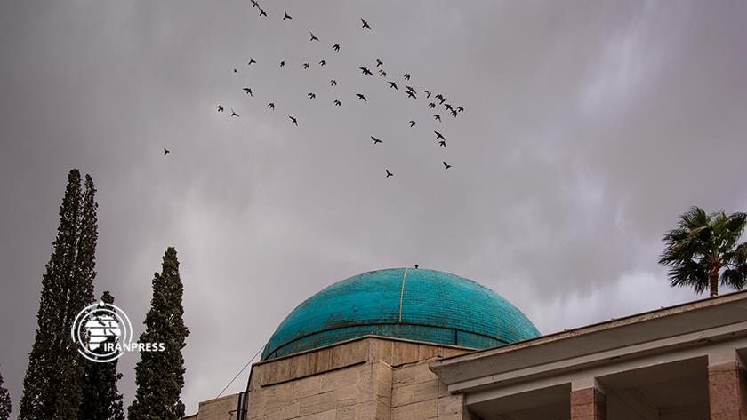 Iranpress: Sa