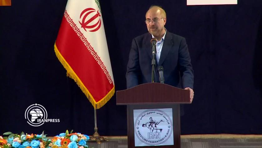 Iranpress: Iranian Parliament speaker calls for investment in sports