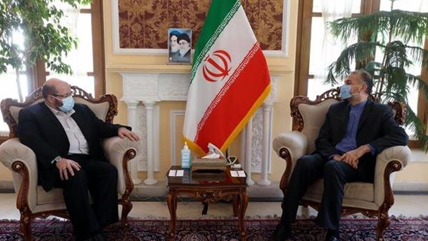 Iranpress: Amir-Abdollahian: Israel