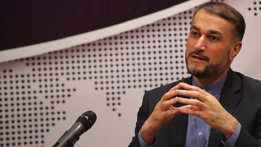 Iranpress: Iran has precise strategy to support Palestine: Senior advisor