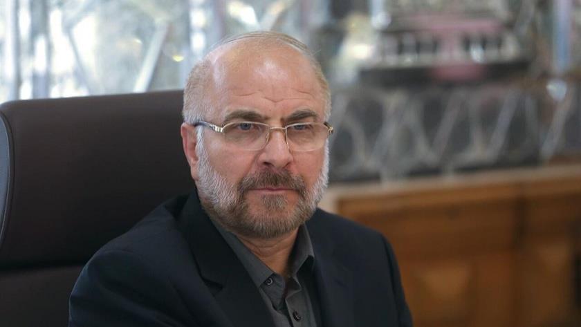 Iranpress: Referrendum, only solution to Palestine
