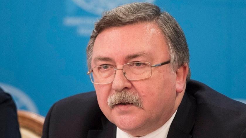 Iranpress: Russia says uncertainties would be higher in Vienna talks after May 21