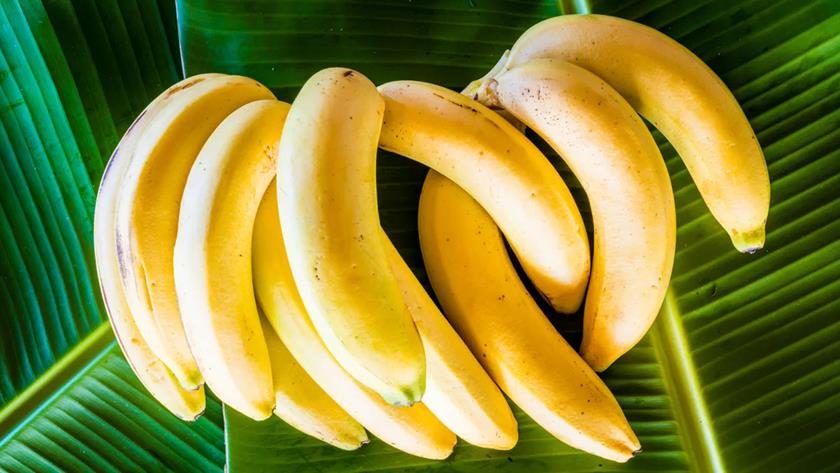 Iranpress: Foods that can give you more energy