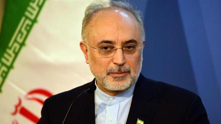Iranpress: 60% Enrichment continues: IAEO head