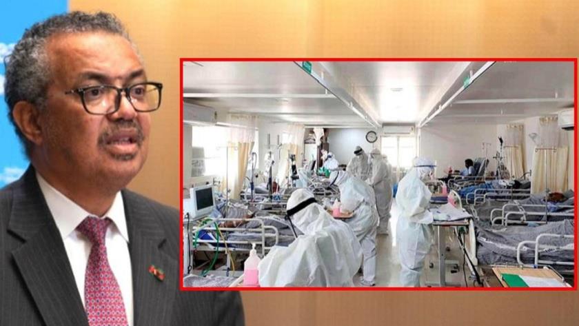 Iranpress: 115,000 Health Workers Died From COVID-19 Worldwide, WHO Say