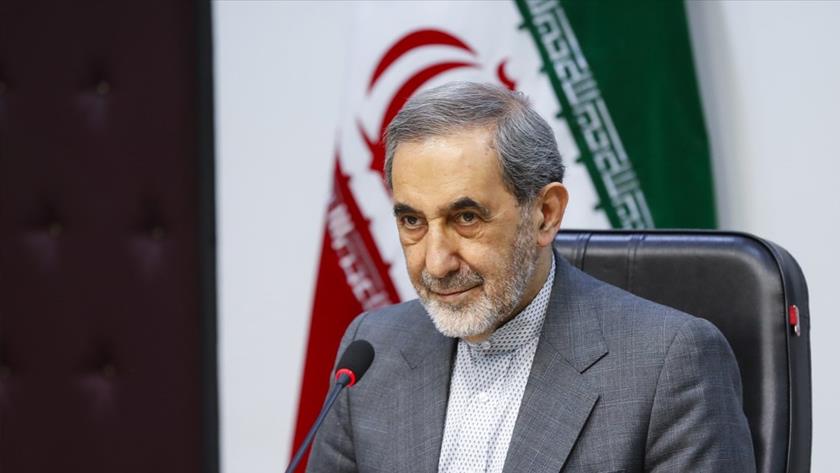 Iranpress: Yemen, most prominent symbol of Resistance Front: Leader Advisor