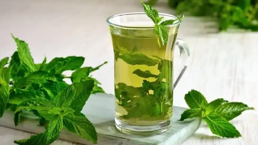 Iranpress: Want to boost your digestive system, try Iranian Sharbat-e Nana 
