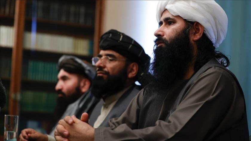 Iranpress: Taliban claim overrunning 5 districts in Afghanistan