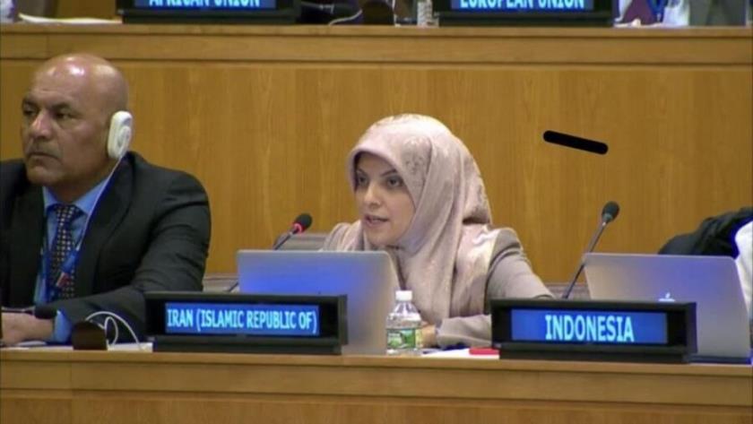 Iranpress: Deputy of Iran