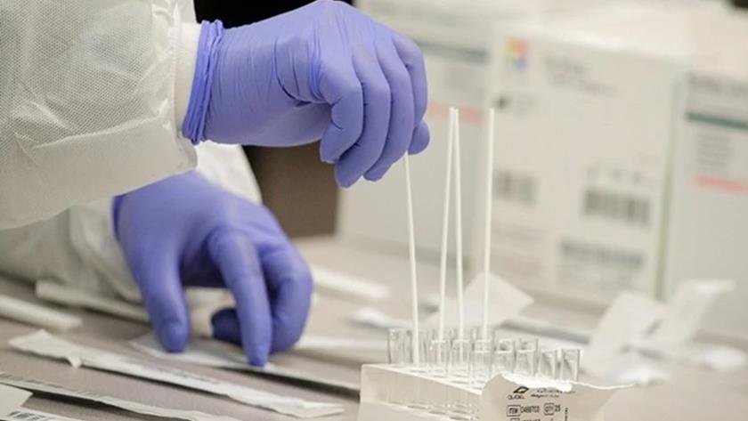 Iranpress: UK reports 16,703 new COVID cases, highest since February