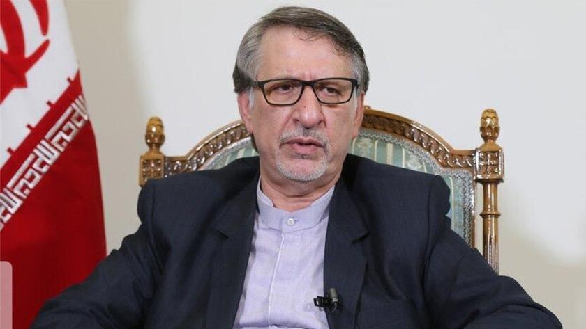 Iranpress: US, France, UK experts appreciate Iran