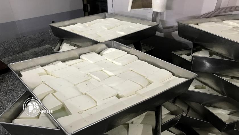 Iranpress: Lighvan; Cheese capital in Iran with world fame