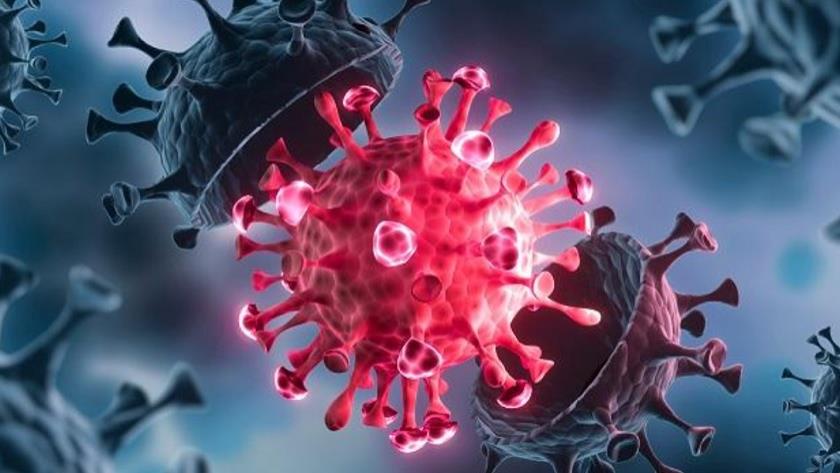 Iranpress: Highly contagious Delta COVID variant spreading fast in US