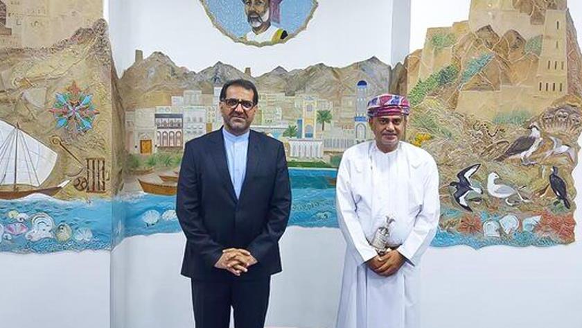 Iranpress: Tehran, Muscat eye developing economic activities