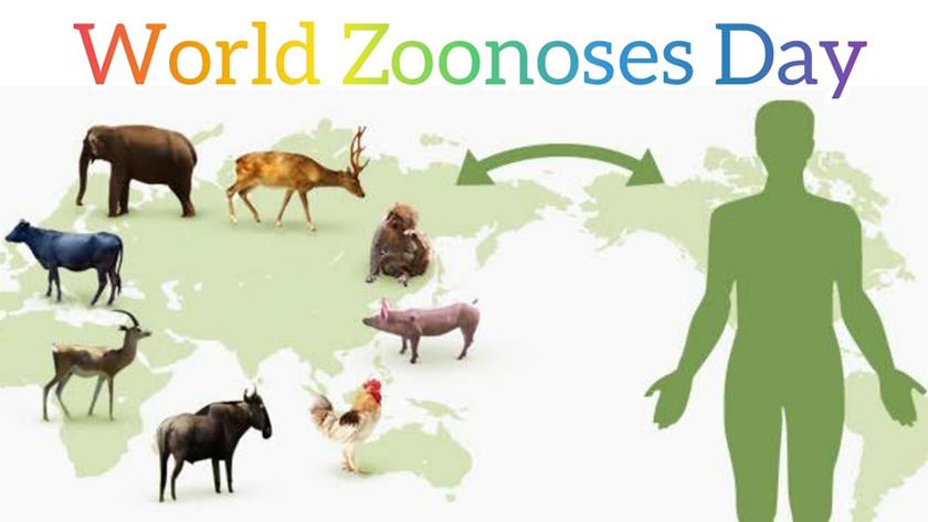 Iranpress: July 6; World Zoonoses Day
