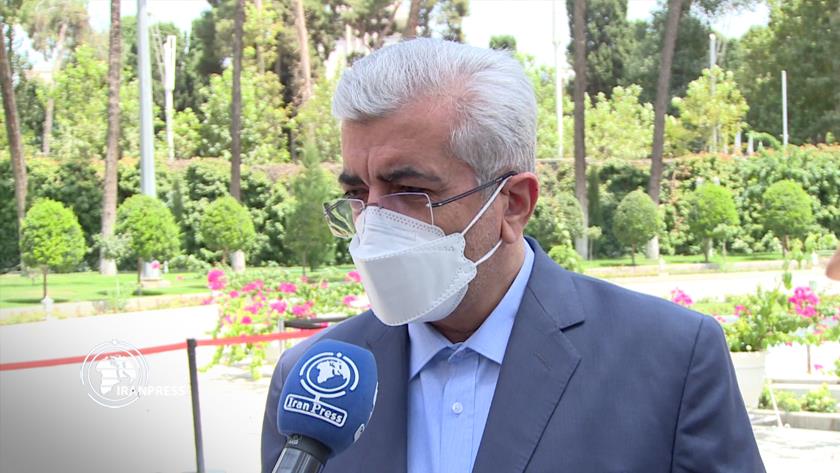 Iranpress: No power cut since July 8: Energy minister 