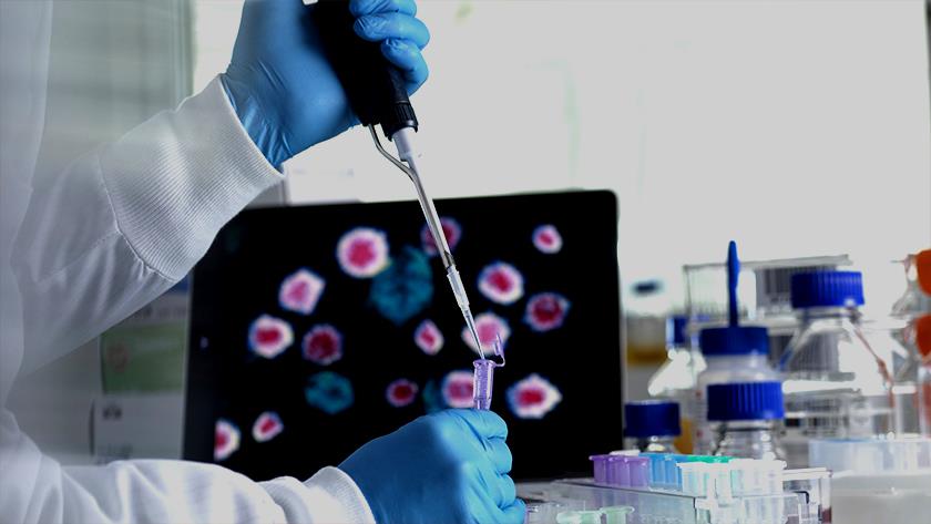 Iranpress: Newly rapidly spreading variant of COVID-19 detected in UK