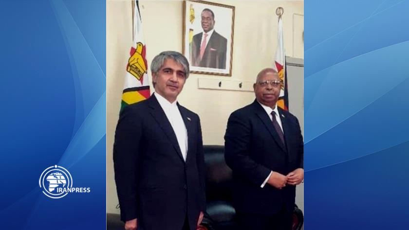 Iranpress: US; pioneer in human rights abuses: Zimbabwean official 