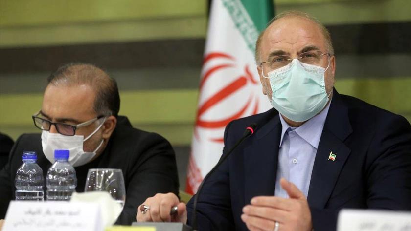 Iranpress: Revolutionary efforts needed for further developments