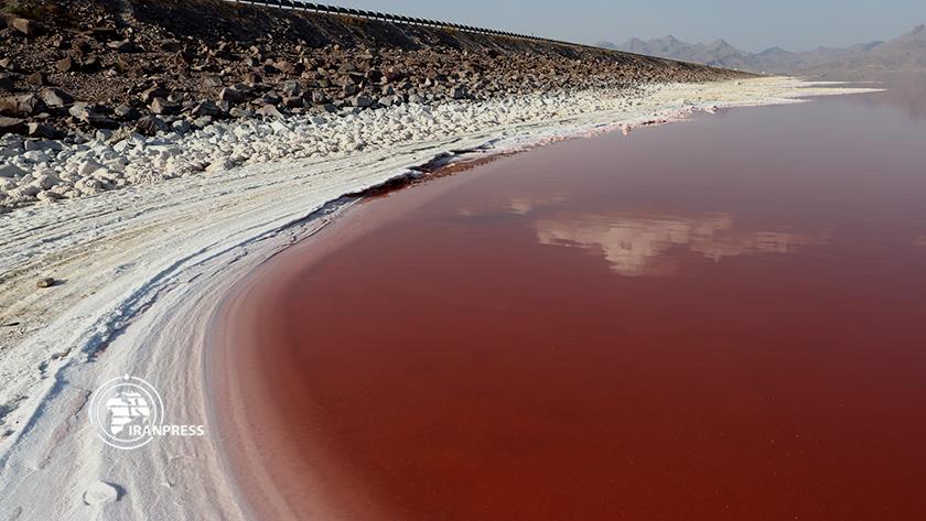 Iranpress: Lake Urmia; biggest lake in West Asia turns blood red