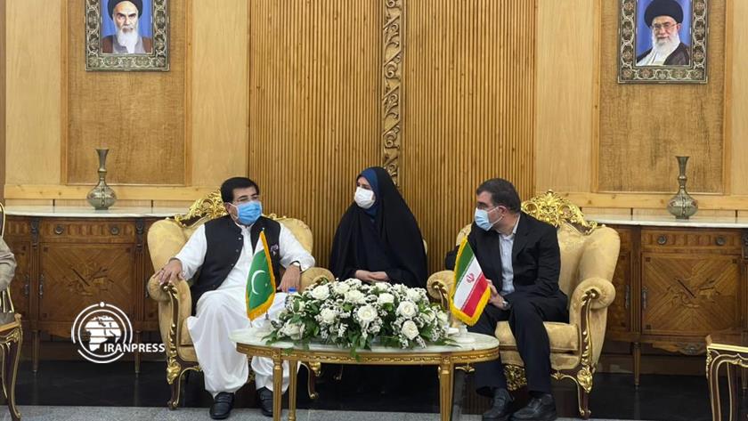 Iranpress: Pakistani Senate Speaker visits Iran to attend Presidential inauguration