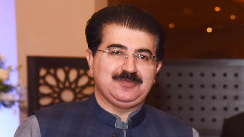 Iranpress: Chairman of Pakistan Senate enters Tehran, welcomed by Iranian MP