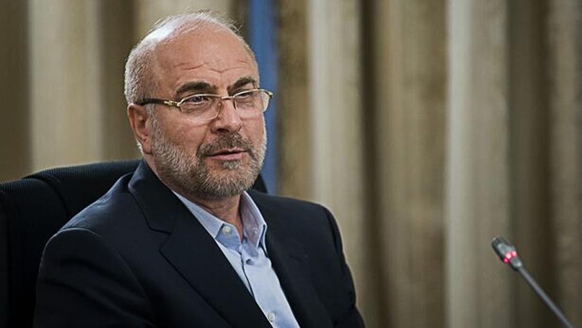 Iranpress: Iran Parliament Speaker meets his counterparts 