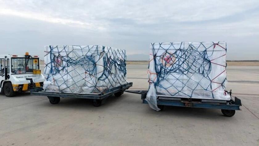 Iranpress: IRCS imports 11th COVID-19 vaccine shipment to Iran