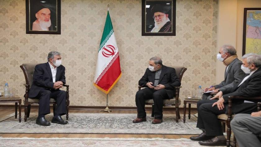 Iranpress: Leader